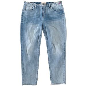Anthropologie Driftwood | Gizelle High Rise Embroidered Jeans